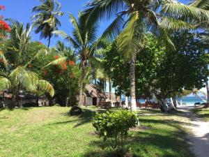 迪亚尼海滩Coconut Village Beach Resort的相册照片