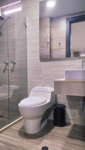 波哥大Hotel WLH Bogota - White Lighthouse的一间带卫生间、水槽和镜子的浴室