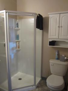 荷马Alaska Adventure Cabins的设有带卫生间的浴室内的淋浴间