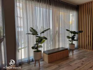 北榄坡Grand Hill Resort and Spa的窗户前有两盆植物的房间