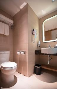 马尼拉Holiday Inn Express Manila Newport City, an IHG Hotel的一间带卫生间、水槽和镜子的浴室