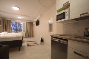 海尔迈哈尔玛嘉实坎洛玛公寓酒店的客房设有一张床和一个带水槽的厨房