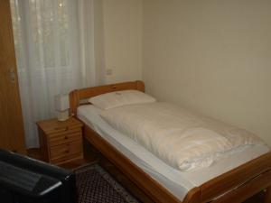 巴特基辛根Hotel Villa Arnold的一间小卧室,配有床和窗户