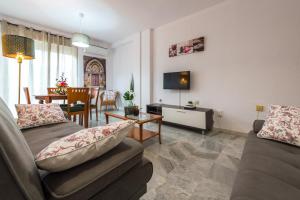 塞内斯德拉韦加Apartamentos Vado - Sendero del Veleta的客厅配有两张沙发和一台电视