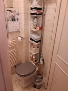 阿姆斯特丹Homey Budget Bedroom的一间带卫生间的浴室和一个带毛巾的架子