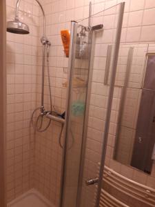 阿姆斯特丹Homey Budget Bedroom的浴室里设有玻璃门淋浴