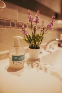 圣拉斐尔San Rafael Group Hotel的浴室水槽里放着一瓶无酒精的麻将皂