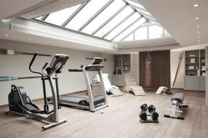 汉堡冯德斯卡联排别墅 - 白宫的一个带天窗的房间,设有几个健身器材的健身房