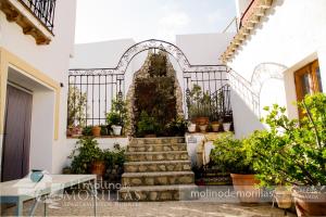 GaleraApartamentos Rurales El Molino De Morillas的盆栽植物房子的楼梯