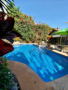 阿吉吉克Casa del Sol Inn的庭院里的一个蓝色海水游泳池