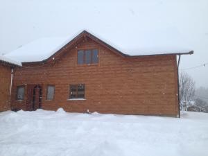 IltsiКарпатська перлина的雪中的房子