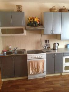 IltsiКарпатська перлина的厨房配有灰色橱柜、水槽和炉灶。
