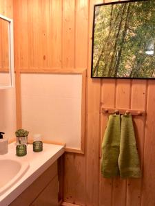 洛斯托Villa Karhunkehto的一间带水槽和毛巾架的浴室