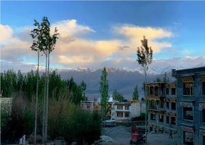 列城Hotel Ladakh Heaven的享有以山脉为背景的城市美景