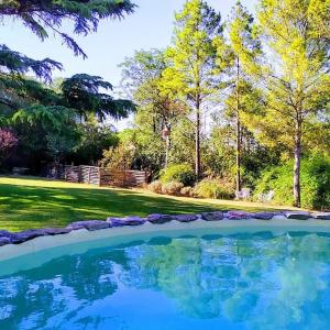 德尔迪克镇Casita de Piedra B&B的一座位于庭院内的游泳池,庭院内种有树木