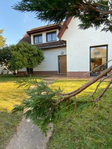 勒克罗图瓦La VILLA en BAIE的树枝躺在房子前面的草上