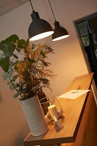 瓦拉什斯凯梅济日奇Sport HOTEL Centrum的一张桌子,上面有花瓶,上面有植物