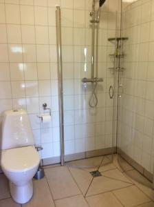 劳加尔瓦特恩米德尔思科度假屋的一间带卫生间和淋浴的浴室