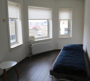 弗利辛恩Beach Appartement的一间卧室设有一张床和两个窗户。