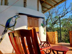 MéridaThe Jungle的椅子和墙上的鸟画