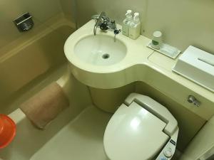 大阪Osaka Ryokan Kuramoto的一间带卫生间和水槽的小浴室