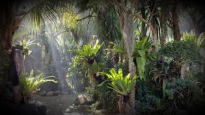 Negara瑟格拉尤瑞普民宿的种有棕榈树和植物的花园