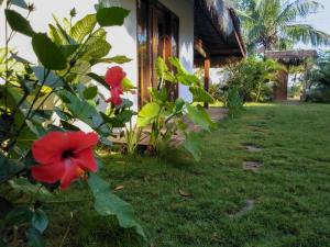 吉利阿尔娜娜斯民宿的一座房子前面的灌木丛上一朵红花