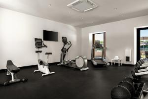 卡尔卡松Hotel du Roi & Spa by SOWELL COLLECTION的一间健身房,里面设有数个健身器材
