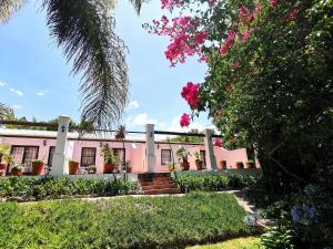 弗朗斯胡克德布伦德尔住宿加早餐旅馆的前面有鲜花的粉红色房子
