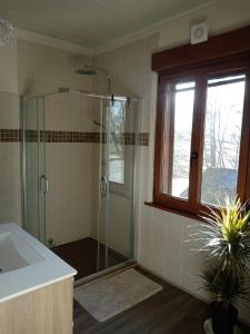 ScherwillerChambre double dans Auberge Alsacienne的带淋浴和盥洗盆的浴室以及窗户。
