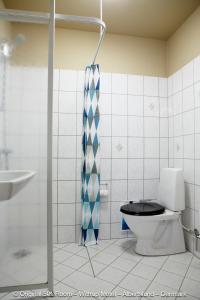 阿尔贝特斯隆维特罗浦汽车旅馆的一间带卫生间和淋浴帘的浴室