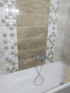 突尼斯Apparts zayatine的浴室内带软管的淋浴