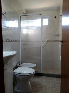 波特雷罗德洛斯弗内斯Cabañas Cumelen的带淋浴、卫生间和盥洗盆的浴室