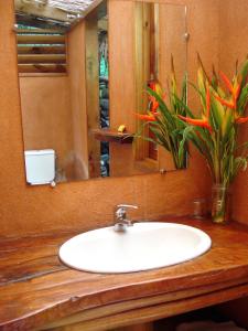 Teahupoo瓦尼拉旅舍的浴室水槽,配有镜子和植物
