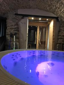 UsseauxLA PLACETTE - Albergo diffuso e Trattoria的客房内的紫色照明浴缸
