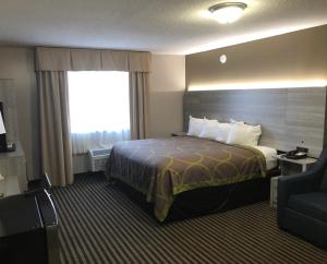 路易斯威尔DuPont Suites - Louisville - St. Matthews的酒店客房设有床和窗户。