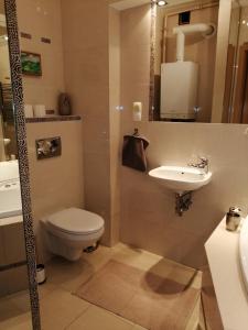 乌斯特龙Apartament Równica的一间带卫生间和水槽的浴室