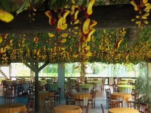 科鲁帕Tureck Garten Hotel的餐厅设有桌椅,天花板上挂着香蕉