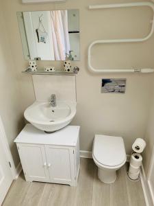 滕比Sunflower Apartment, Family accommodation Near Tenby in Pembrokeshire的一间带水槽和卫生间的小浴室
