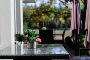 华沙卡利诺伊森酒店的玻璃桌边的花瓶,上面有粉红色的花朵