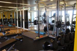 荷兹利亚BBusiness Class Marina Herzliya的健身房,有几排举重机