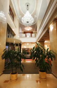 别尔哥罗德别尔哥罗德酒店的大堂,有两株盆栽植物和吊灯