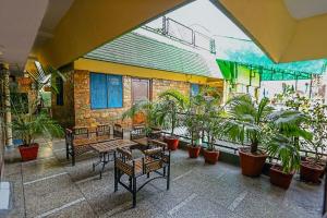 德拉敦The Trekkers Hostel - Dehradun的一座庭院,里面设有长椅和盆栽植物