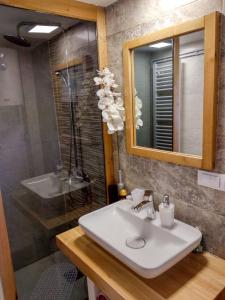Sekulić Planinska Koliba Exclusive的一间带水槽、镜子和淋浴的浴室