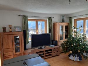 OberlienzRackhof的一间带电视和圣诞树的客厅