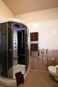 卡罗维发利阿利萨酒店的带淋浴和卫生间的浴室