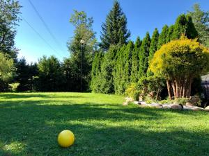 米卢夫卡Willa Brzozówka的院子里草地上的黄球
