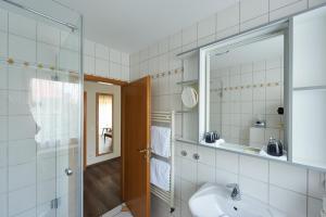 莱茵河畔因格尔海姆费特泽斯兰德酒店的一间带水槽和玻璃淋浴的浴室