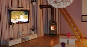 NienhagenWohnung Auerand的一间带电视和壁炉的客厅
