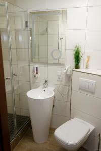 AltenbekenHotel Restaurant Rodizio Paderborn的浴室配有卫生间、盥洗盆和淋浴。